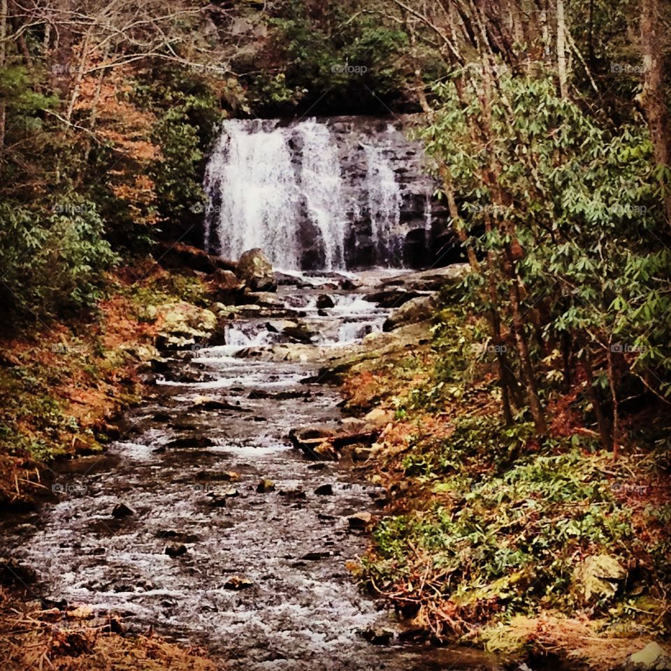 Water, Fall, Waterfall, Wood, Stream