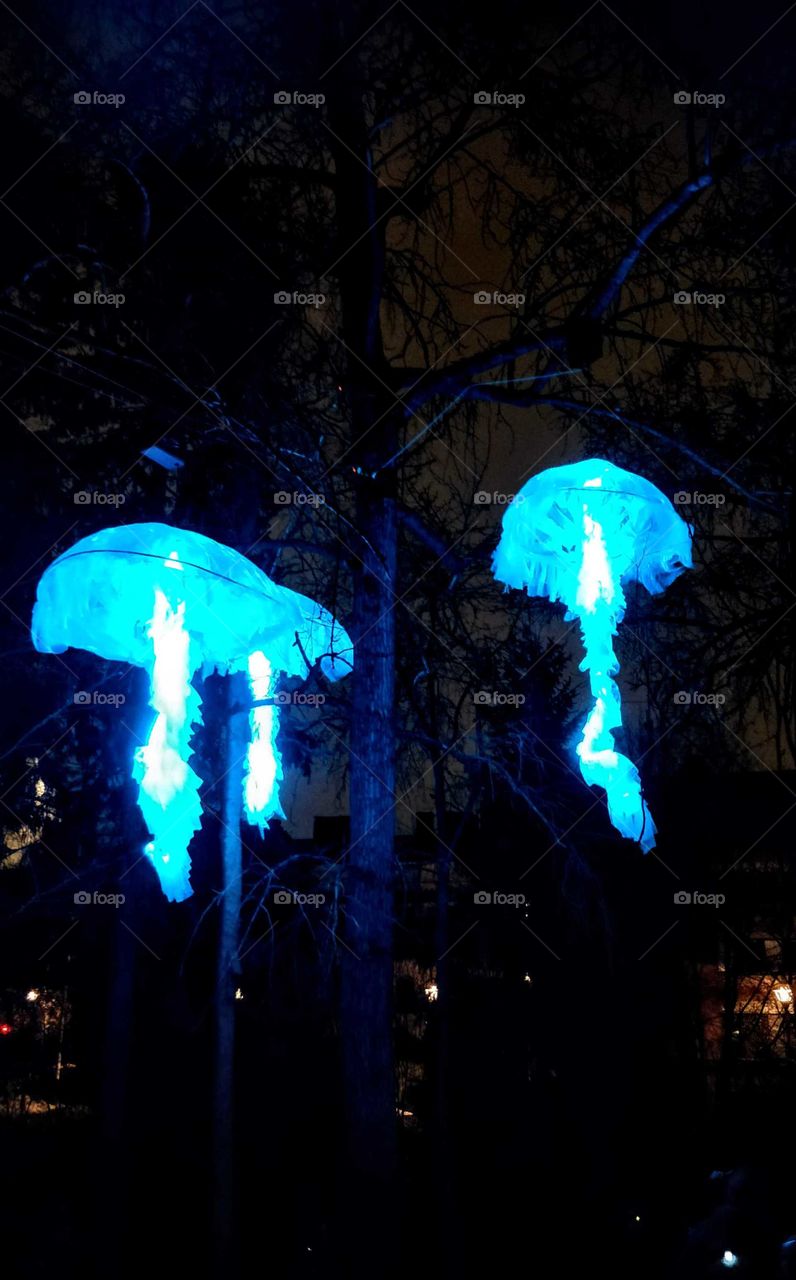 Medusa during Lumo Light Festival on Oulu, Finland