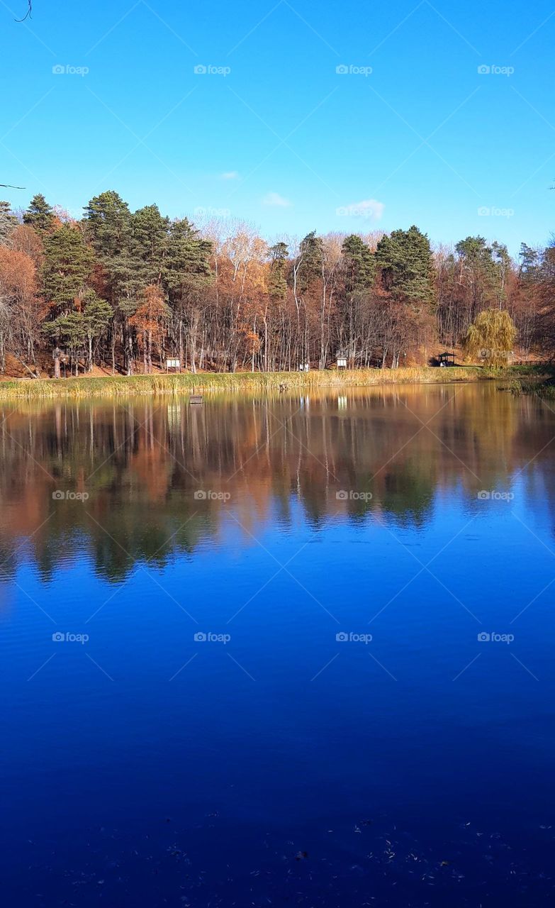 beautiful rural nature captured in an autumn day