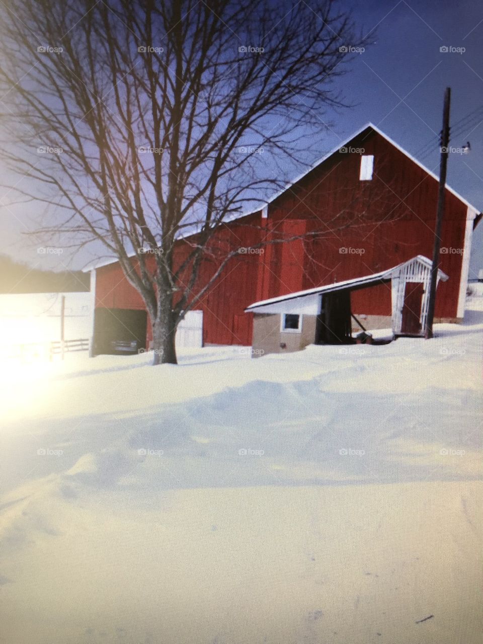 The barn in winter 
