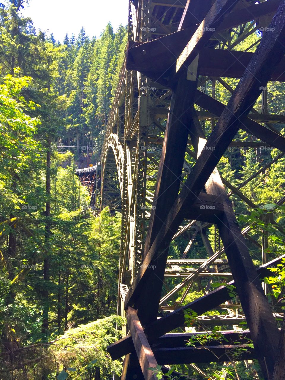 Bridge to wilderness. Bridge over River