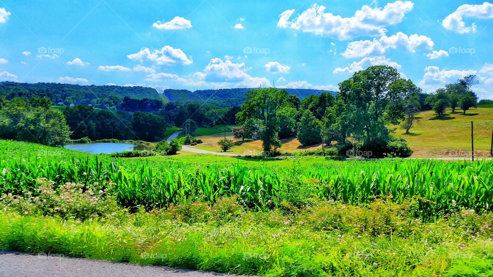 Pennsylvania country side at it's best.