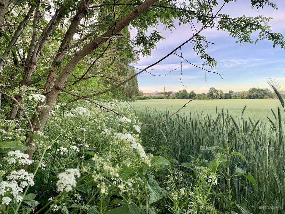 spring day in the Como countryside