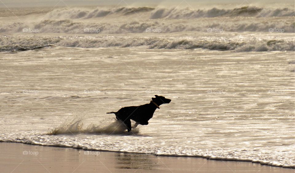 On the beach