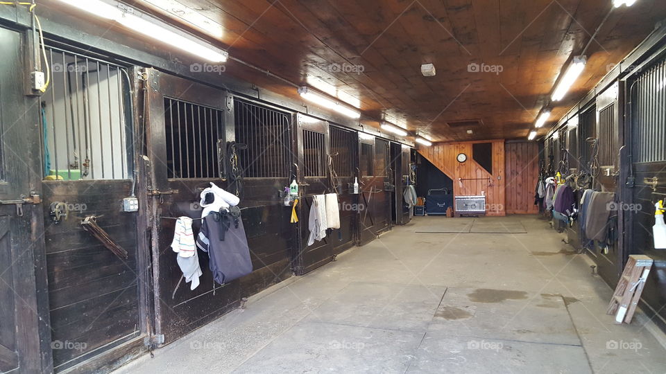 Horse stables