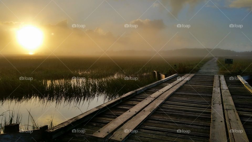 Bridge over lake in misty morning