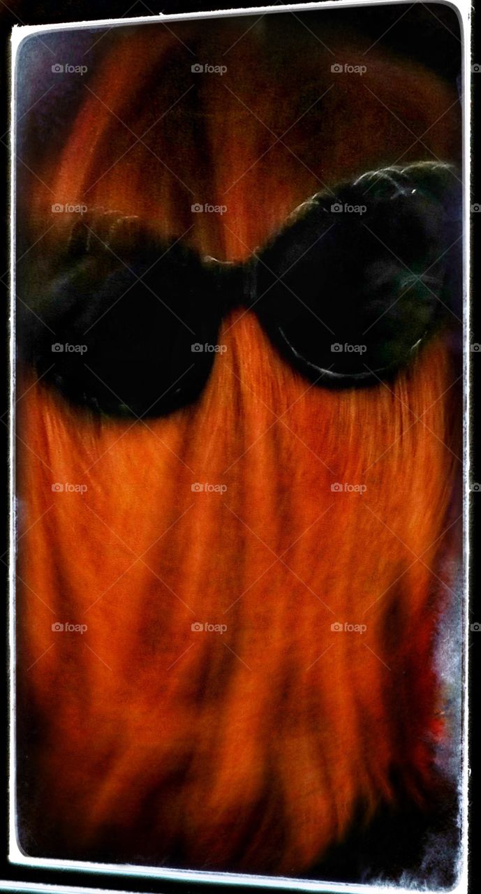 Eyes looking through the past...