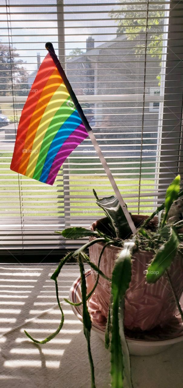 Rainbow Flag in window, sunshine coming through blinds lights it up. Gay pride flag.