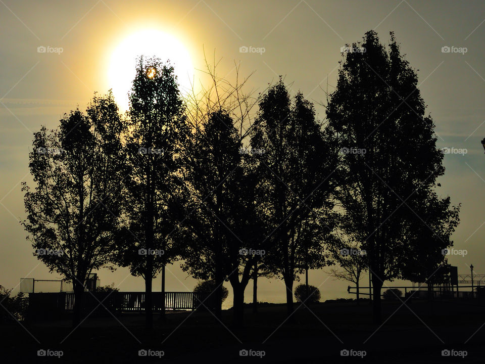 sun trees silhouette fog by delvec