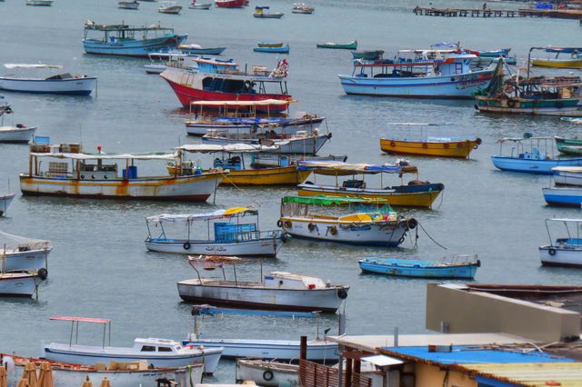 Alexandria