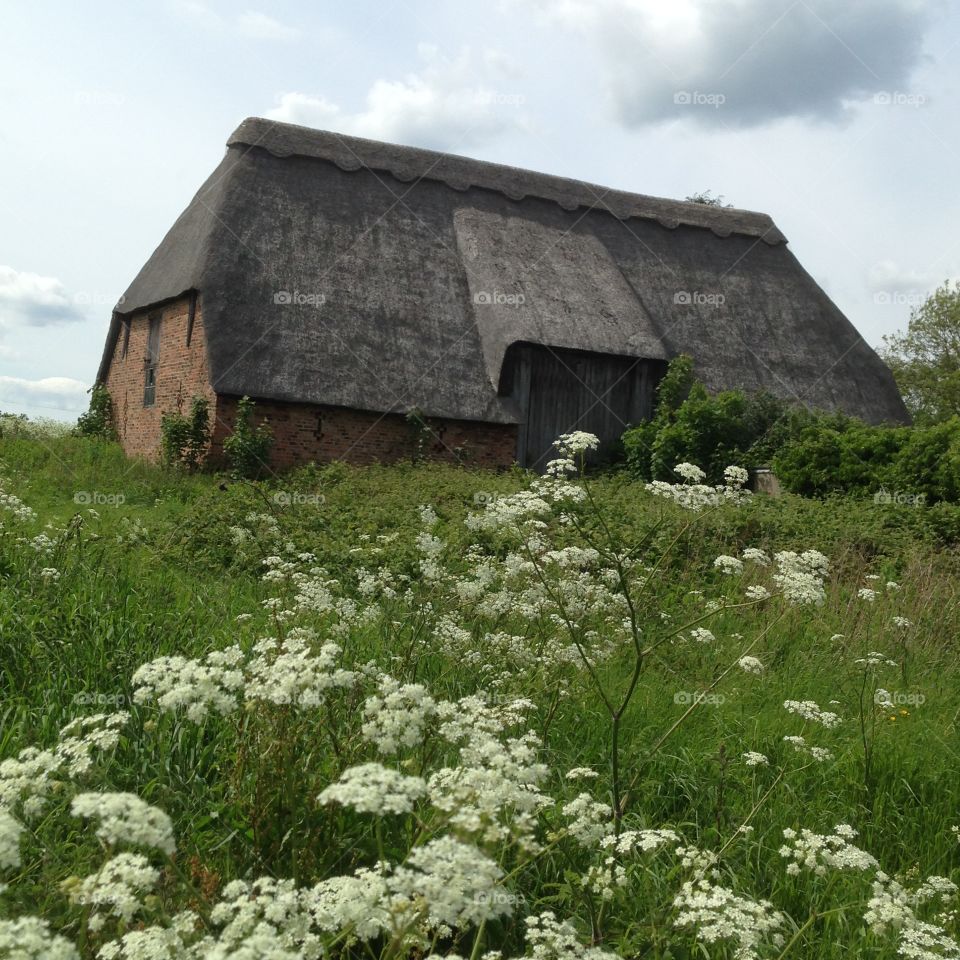 Thatched barn