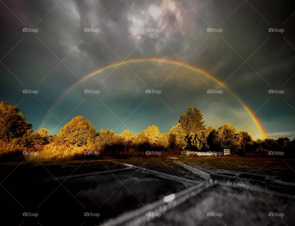 Rainbow 