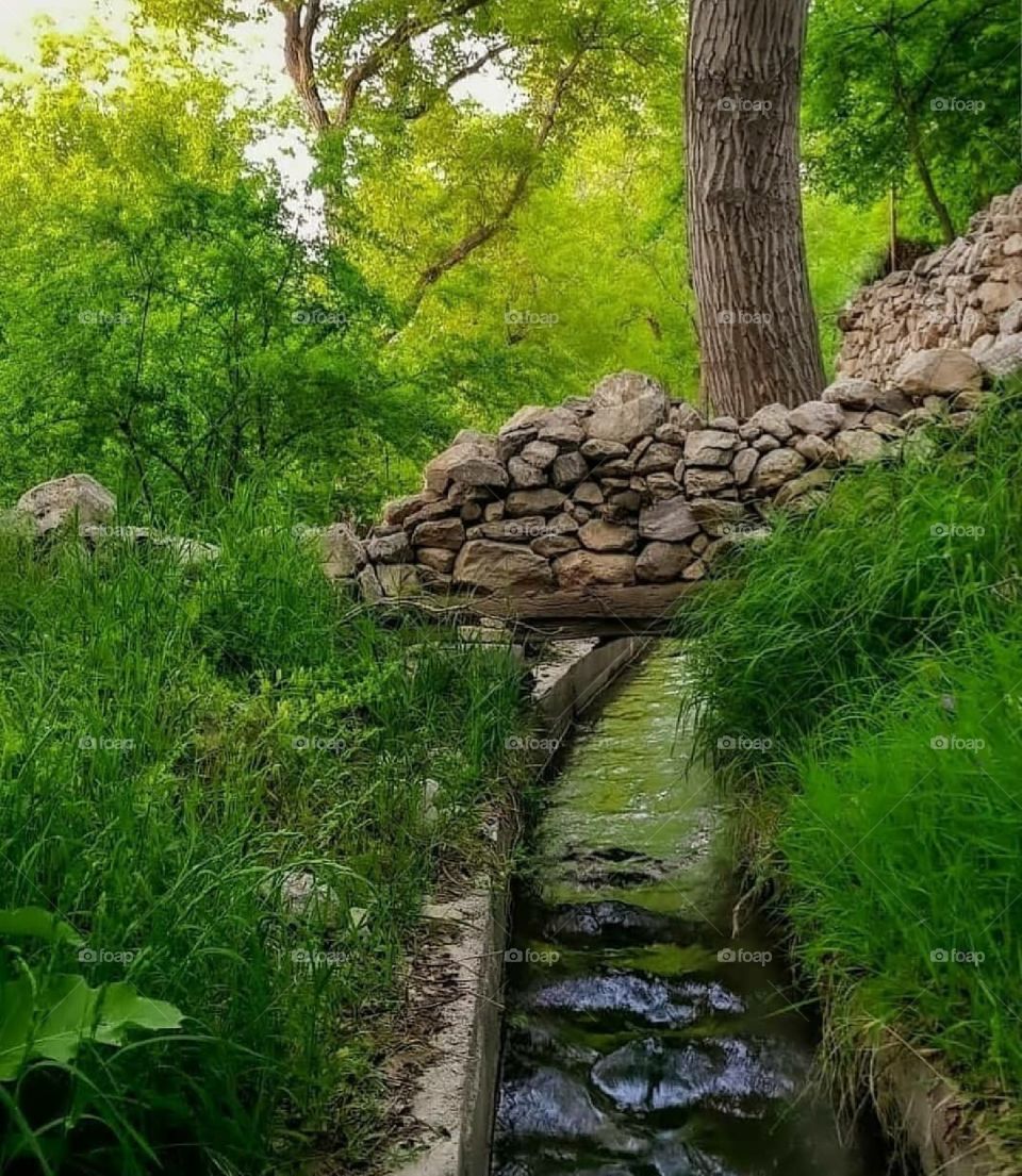 Iran, Nature, Travel