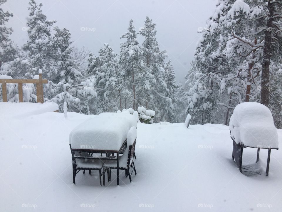 Snowfall in the north 