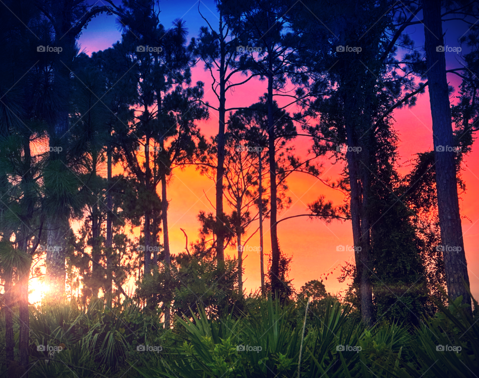 Layers of color light up the sky at sunset.