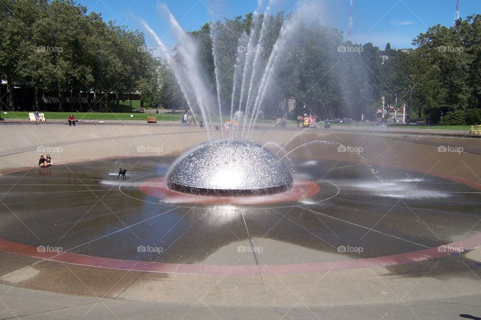 international foundation . at seattle center