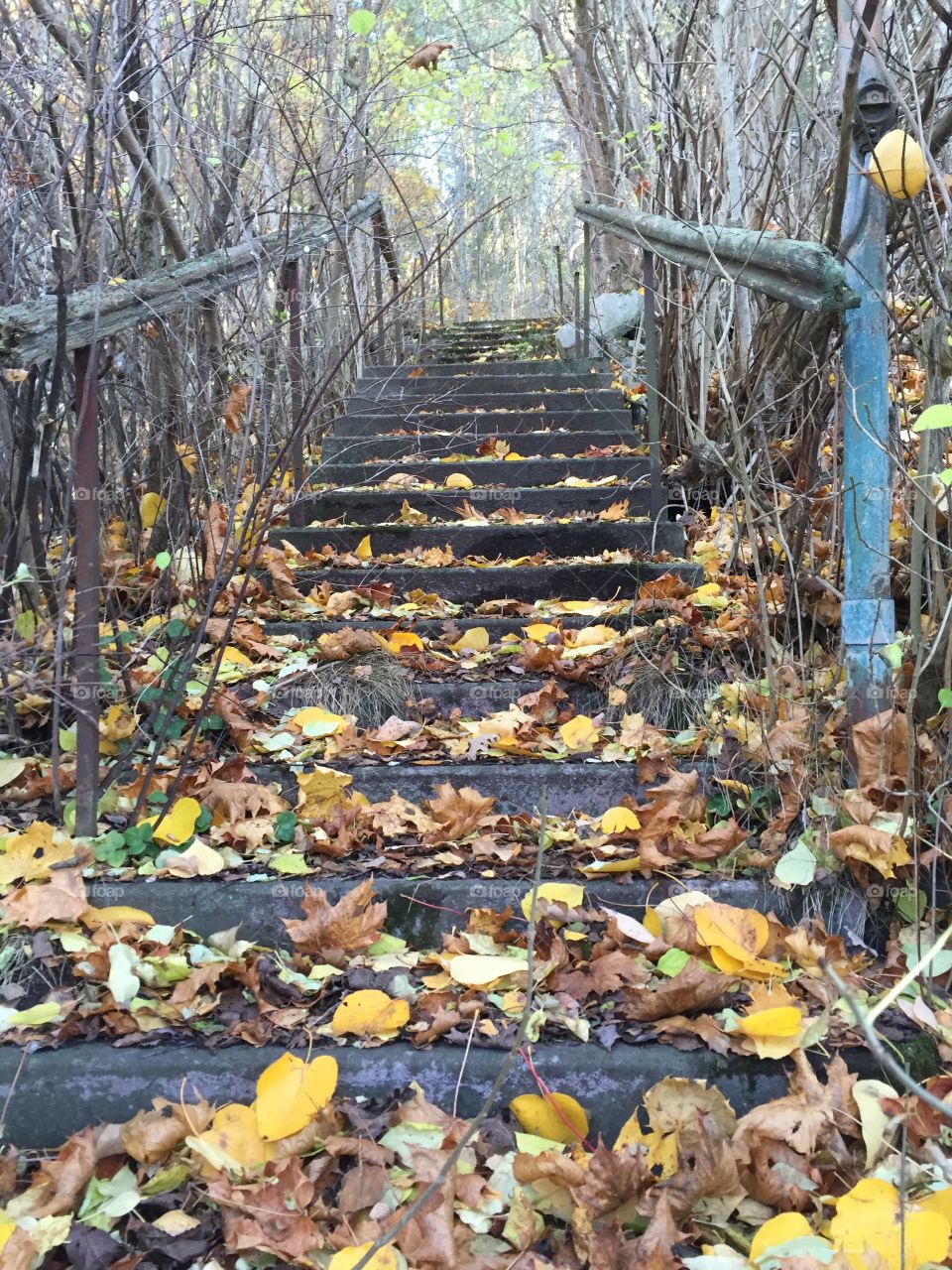 Last sunny and warm day of the autumn