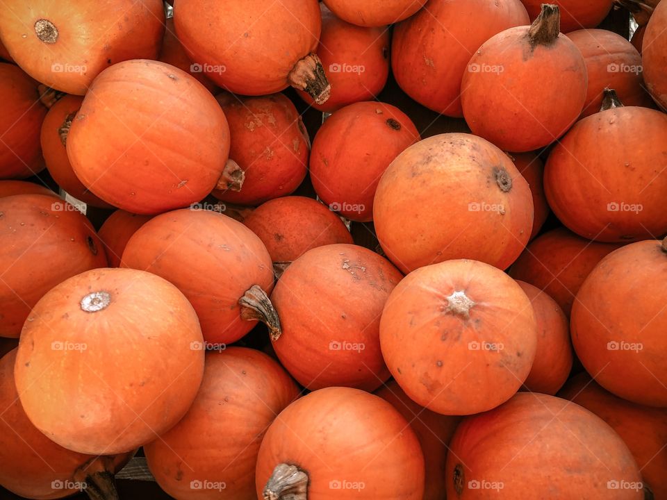 Pumpkins