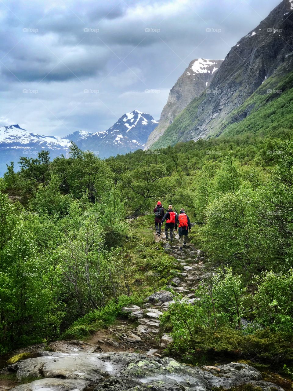 Hiking