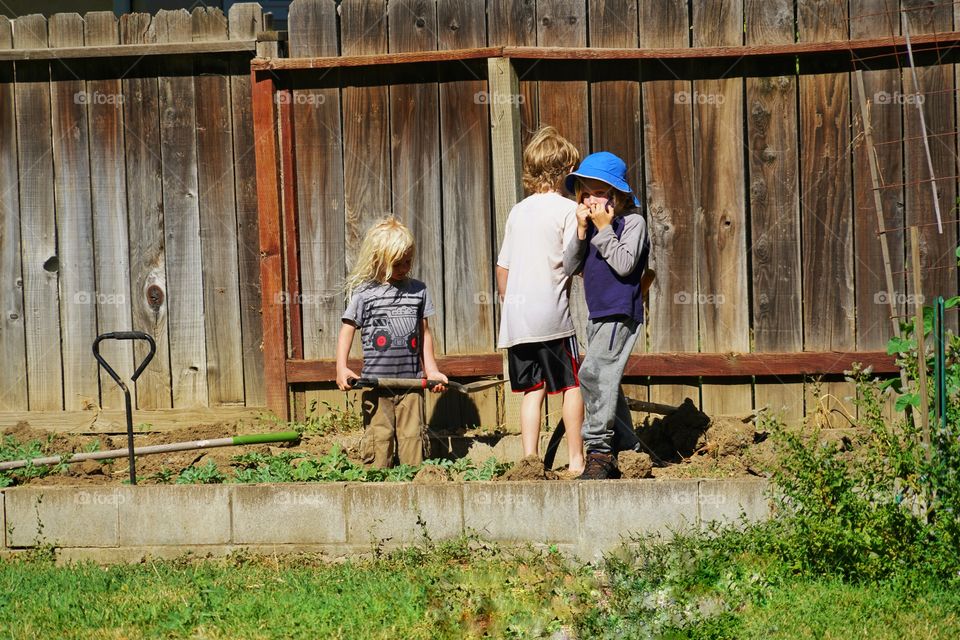 Kids Playing In The Garden