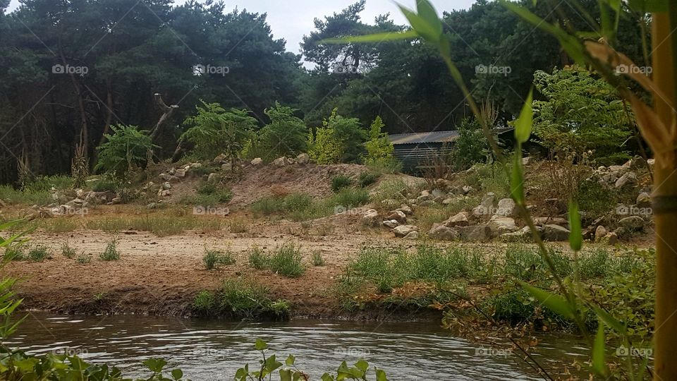 Nice river landscape