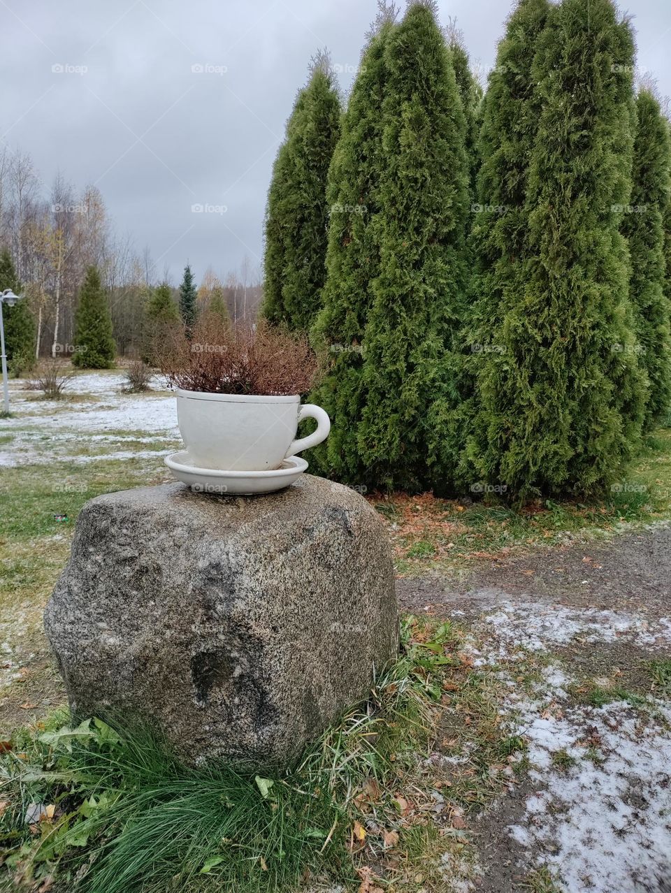 a cup on the stone