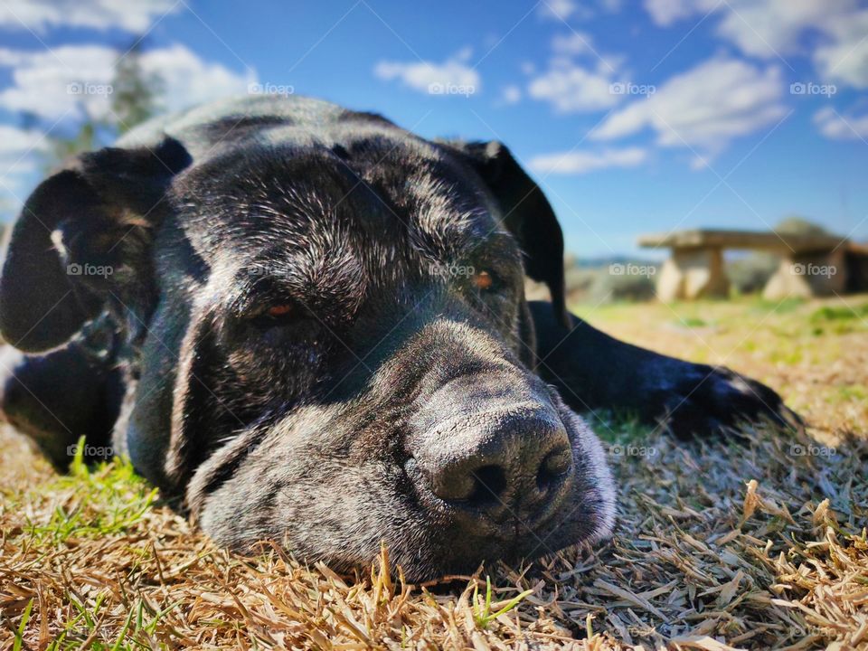 don't bother me please