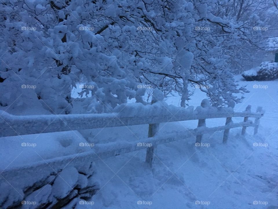 Snowstorm in CT at dusk