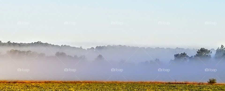 Panoramic view of foggy landscape
