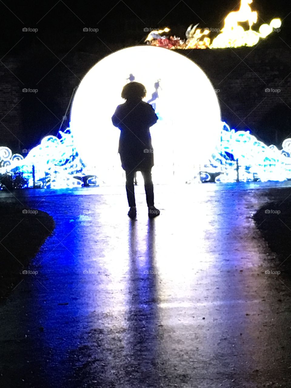 Silhouette by the moon light 