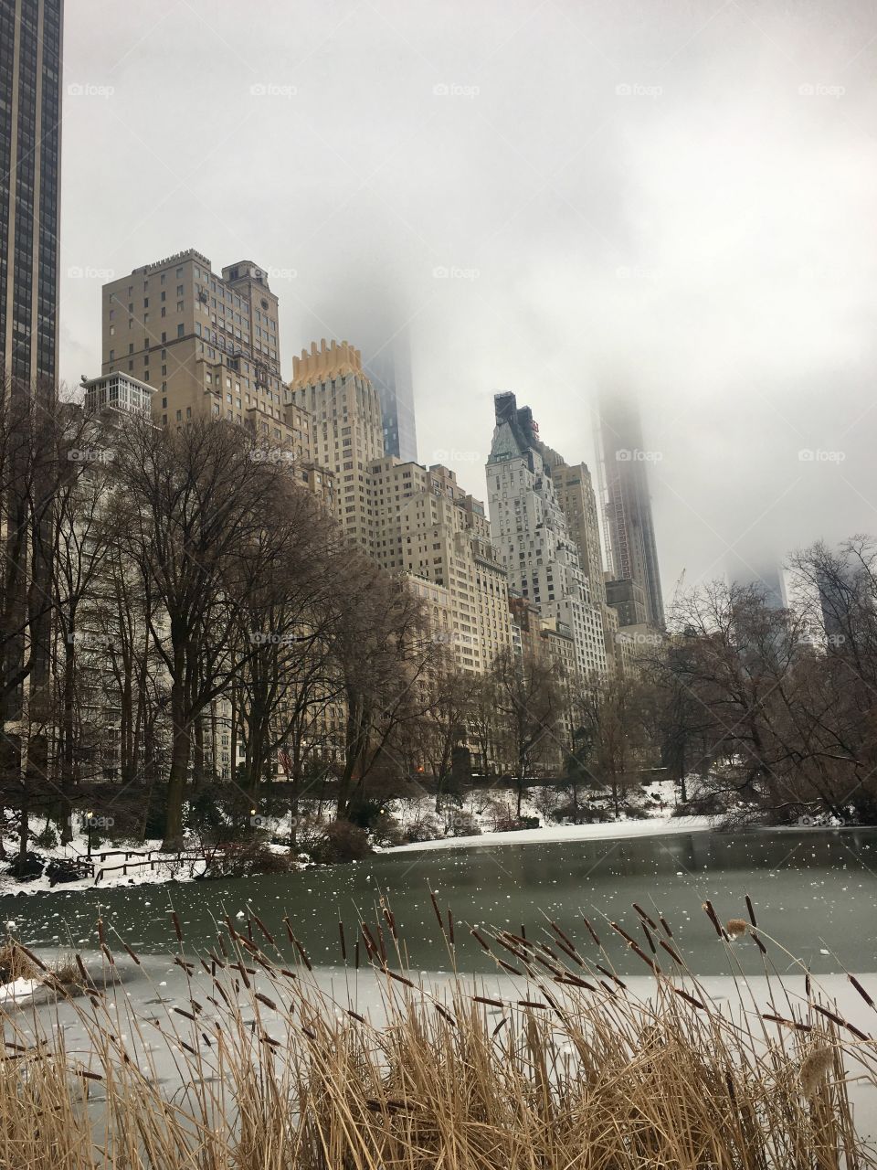 After winter storm Niko
Central Park, NY