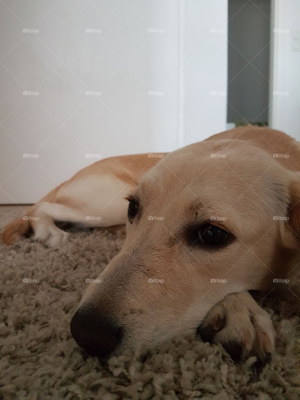 Leave me alone or I will cry :(