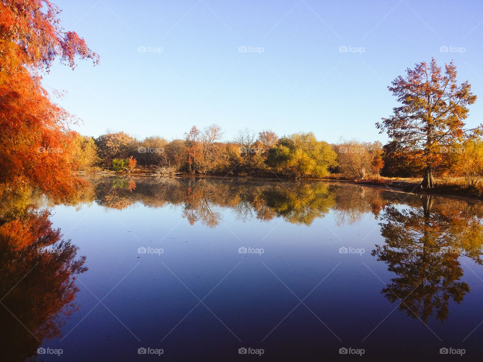 Fall trees reflected in still water