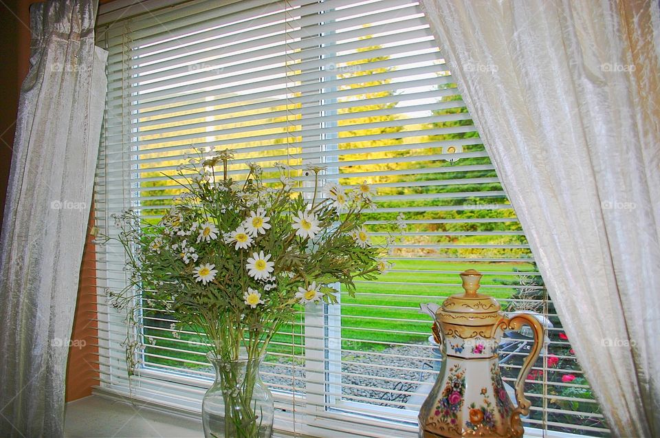 Cause of daisies on a windowsill 