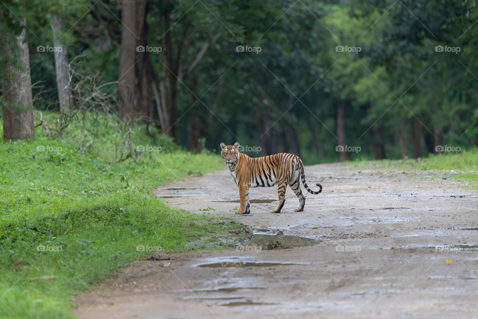 The QUEEN of the Old Highway!