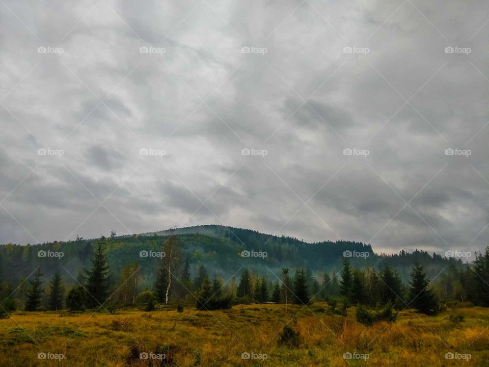 mist in the carpathian mountains