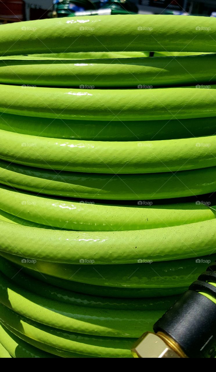 green as a snake