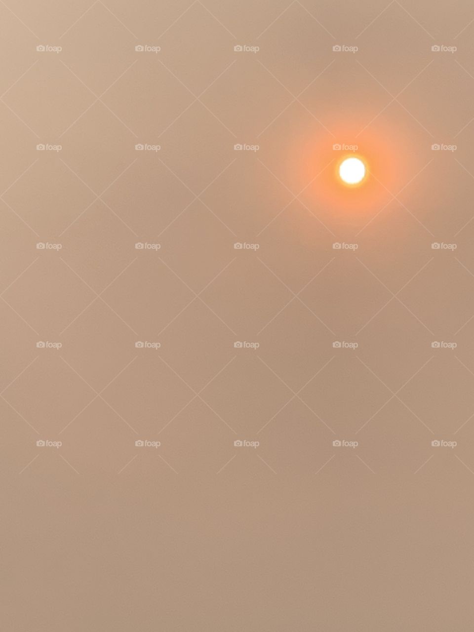 Fire in the sky - the bright sun in the smoke filled sky in California 