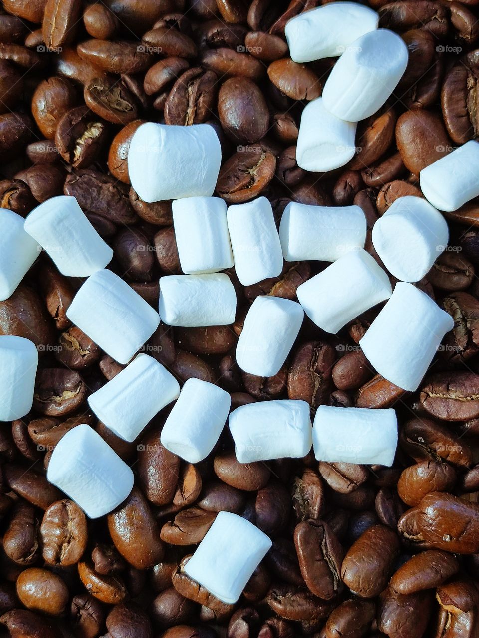 Roasted coffee beans and marshmallows. Contrast of brown and white