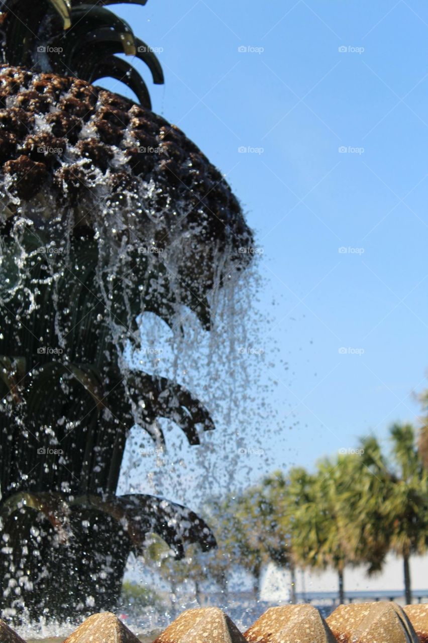 Charleston fountain 