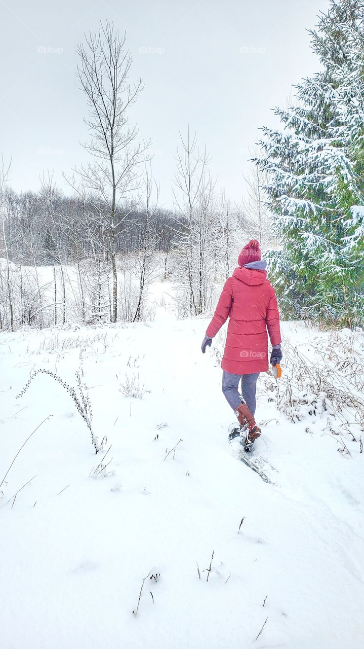 woman snow shoeing by evergreen tree