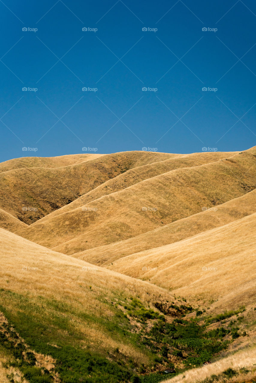 Dry grassy Californian landscape 