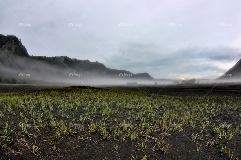 bromo in the morning