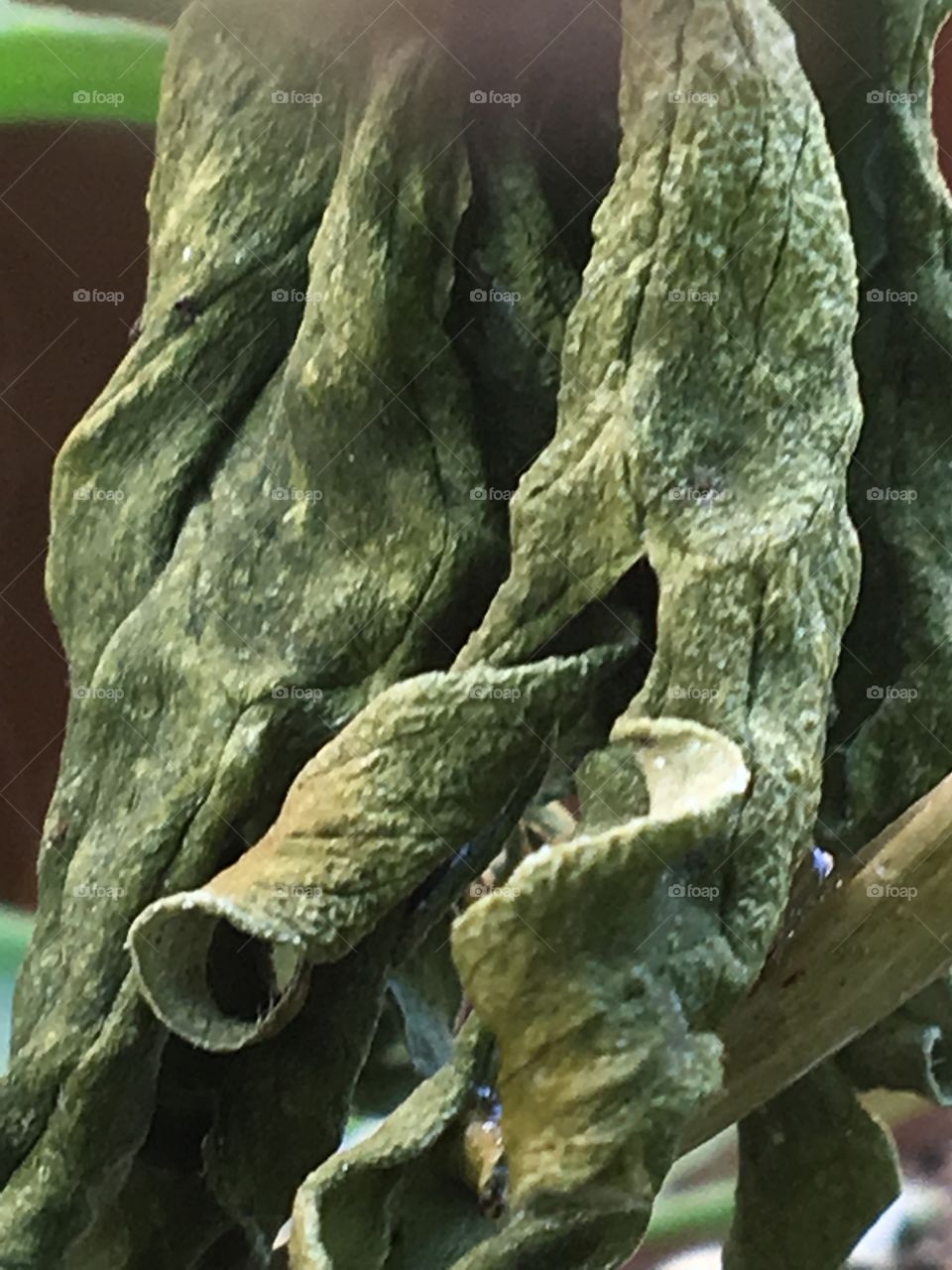 No Person, Nature, Outdoors, Travel, Stone