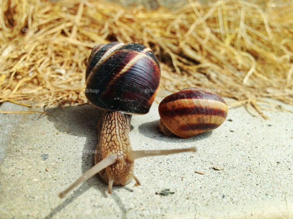 road power speed plovdiv by TheShaman