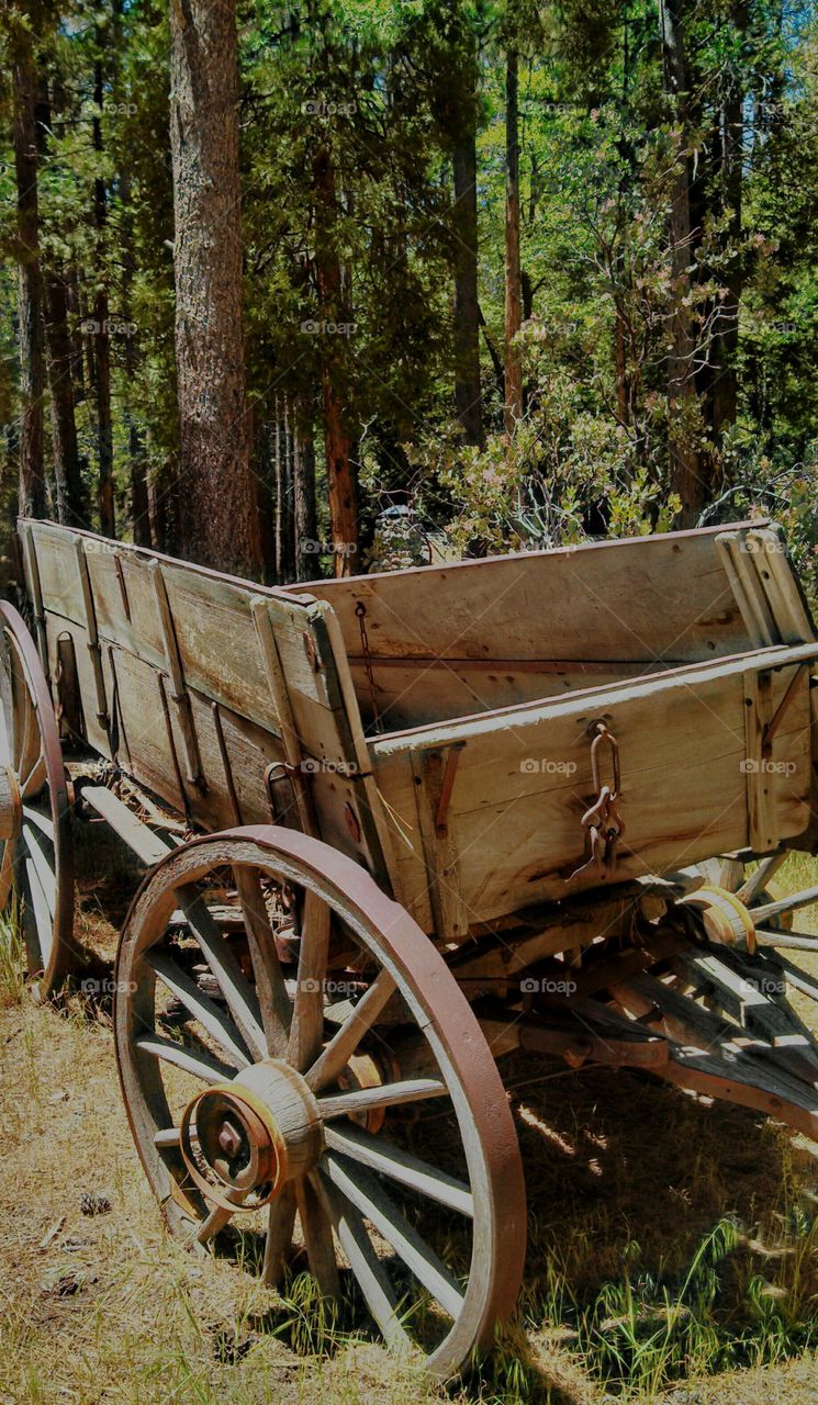 Western Wagon