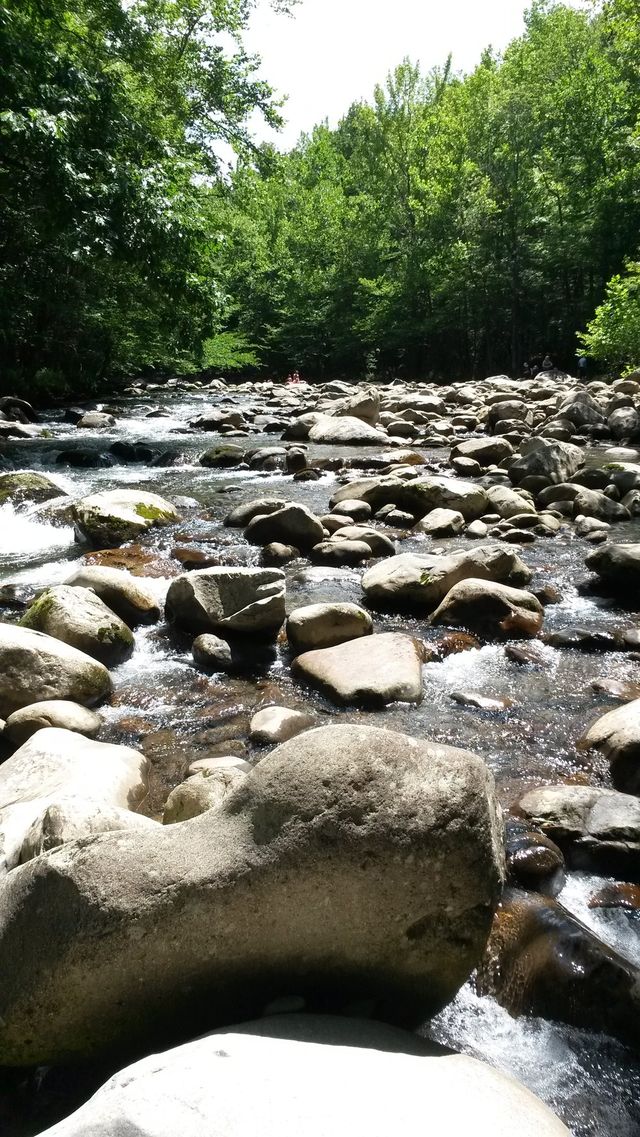nature