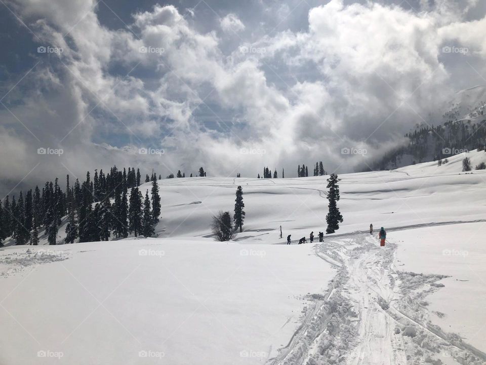 Landscape covered by snow