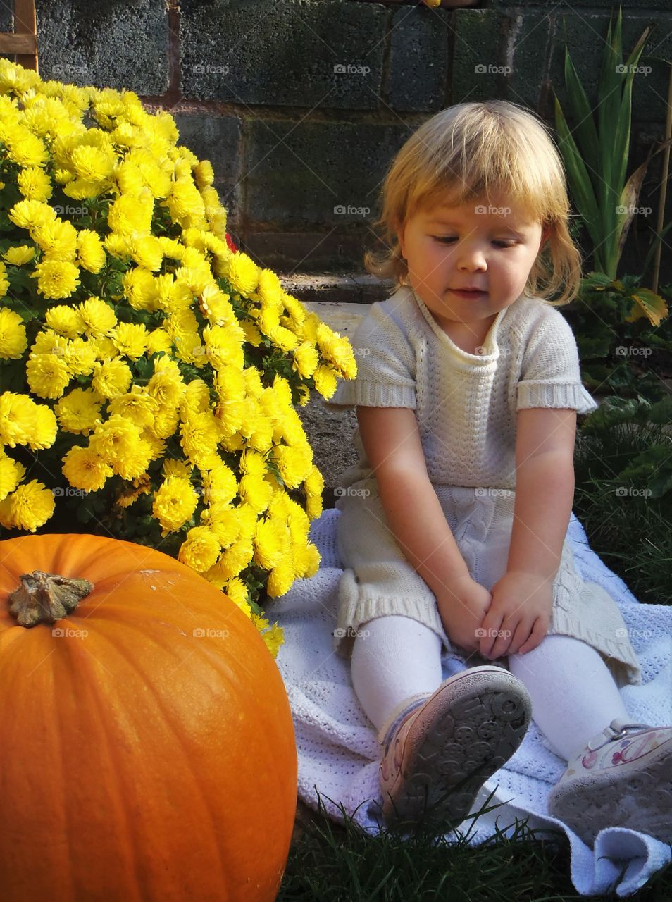 Little sitting near pumpkin and bunch of yellow flower 