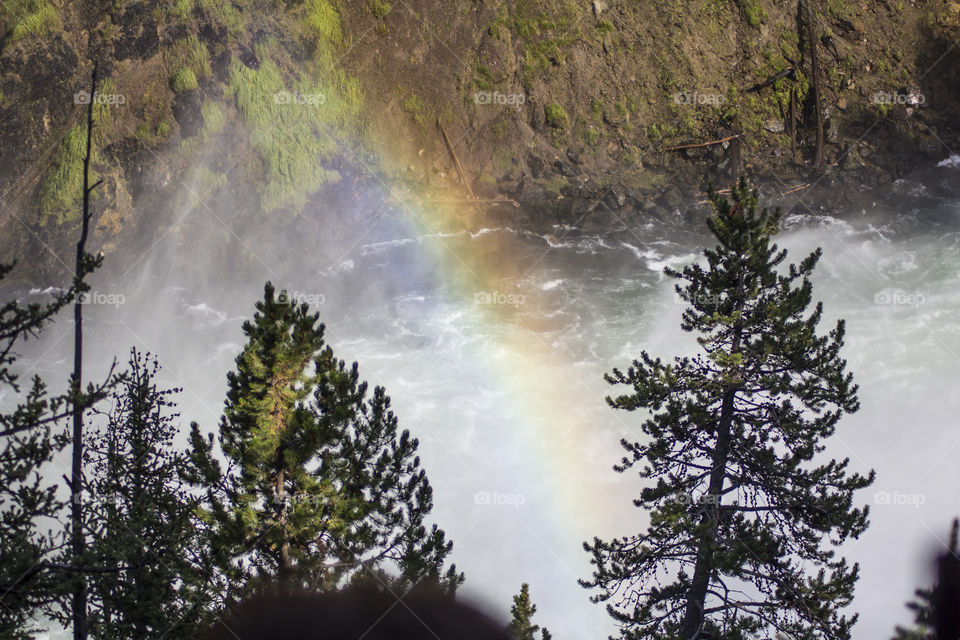 Rainbow at the Yellowstone River